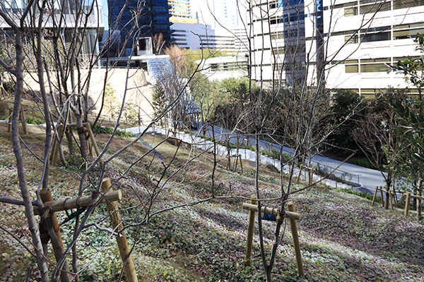 オークラ プレステージタワー/オークラ ヘリテージウイング(The Okura Tokyo/オークラ東京)